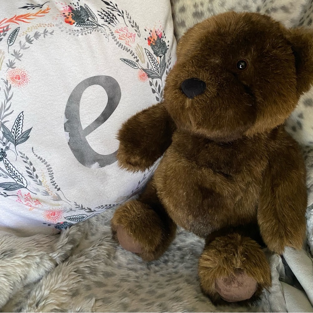 Pottery Barn Teen Stuffed Bear AUX Speaker